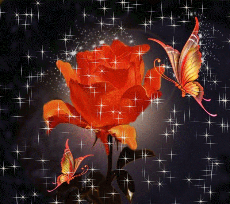 Sparkling Orange Rose & Butterflies Pictures, Photos, and Images for