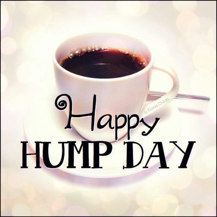 Happy Hump Day Pictures Photos And Images For Facebook Tumblr