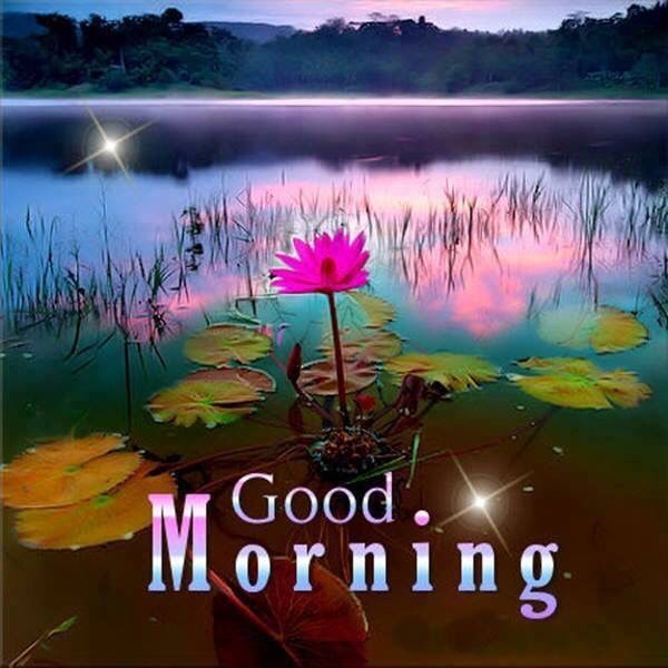 Good Morning Pictures, Photos, and Images for Facebook, Tumblr