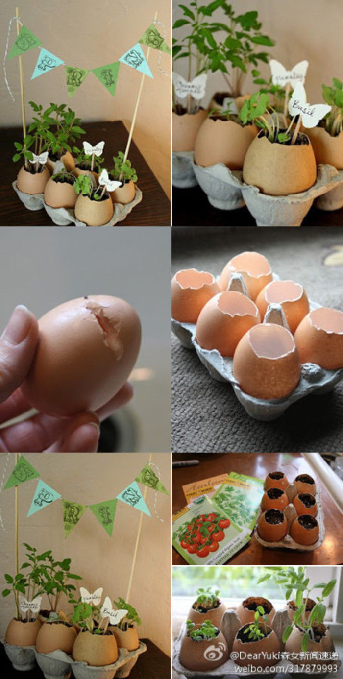 Eggshell Planters Pictures, Photos, and Images for Facebook, Tumblr