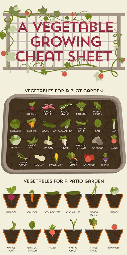 Vegetable Growing Cheat Sheet Pictures, Photos, and Images for Facebook