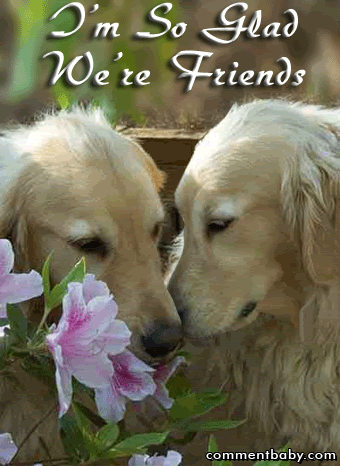 I'm So Glad We Are Friends Pictures, Photos, and Images for Facebook