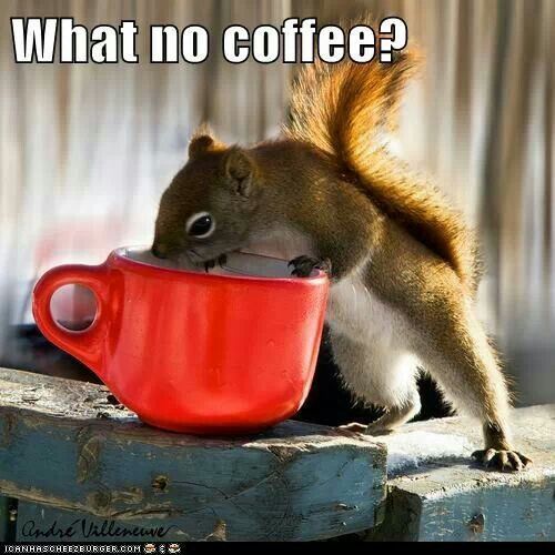 No Coffee Pictures, Photos, and Images for Facebook, Tumblr, Pinterest