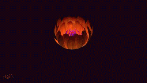 Glowing Flower Blooming Pictures, Photos, and Images for Facebook