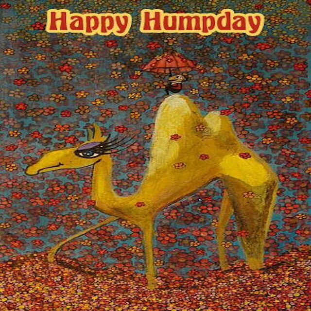 Happy Hump Day Pictures, Photos, and Images for Facebook, Tumblr