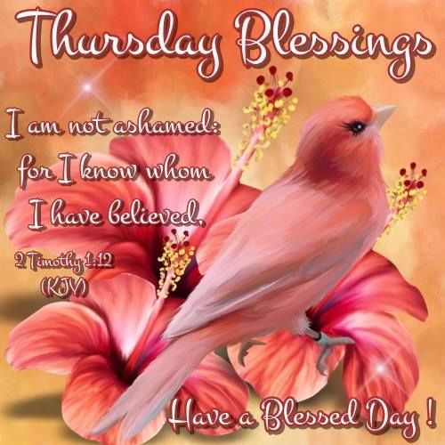 Thursday Blessings With Bible Verse Pictures, Photos, and Images for