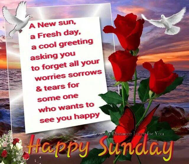 Happy Sunday Its A New Day Pictures, Photos, and Images for Facebook, Tumblr, Pinterest, and Twitter