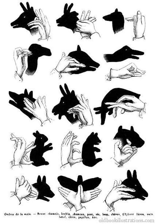 How To Make Hand Shadows Pictures, Photos, and Images for Facebook