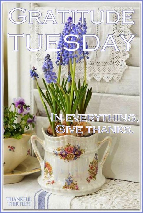 Gratitude Tuesday Pictures, Photos, and Images for Facebook, Tumblr