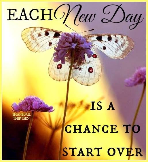 Each New Day Is A Chance To Start Over Pictures, Photos