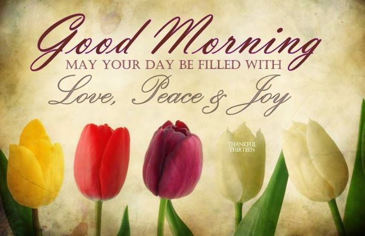 Good Morning May Your Day Be Filled With Peace Love And Joy Pictures