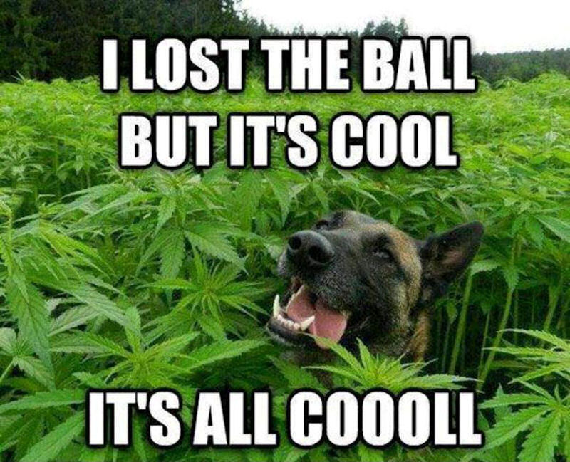 I Lost The Ball But Its Cool Pictures, Photos, and Images for Facebook