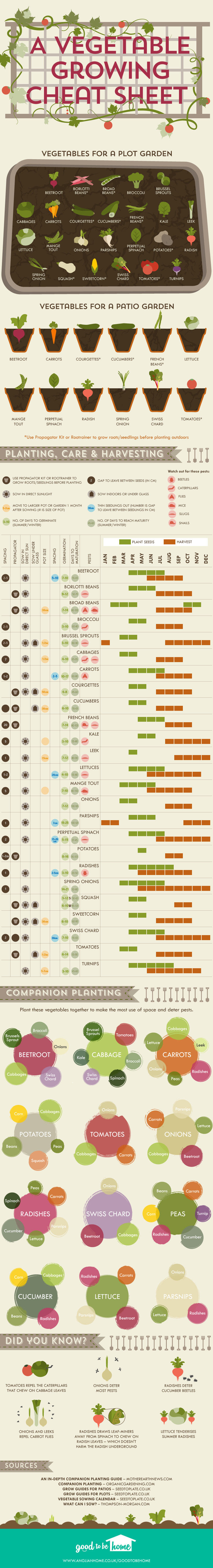 A Vegetable Growing Cheat Sheet Pictures, Photos, and Images for