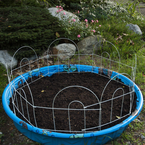 Kiddie Pool Garden Planter Pictures, Photos, and Images for Facebook
