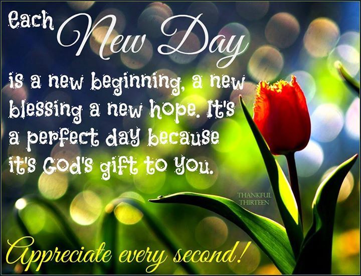 Each New Day Is A Beginning Pictures, Photos, and Images for Facebook, Tumblr, Pinterest, and