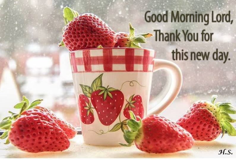 Good Morning Lord Pictures, Photos, and Images for Facebook, Tumblr
