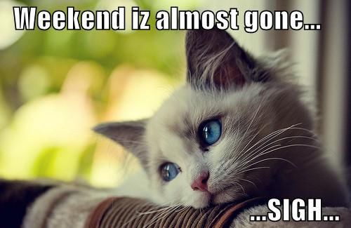 Weekend IS Almost Gone Pictures, Photos, and Images for Facebook