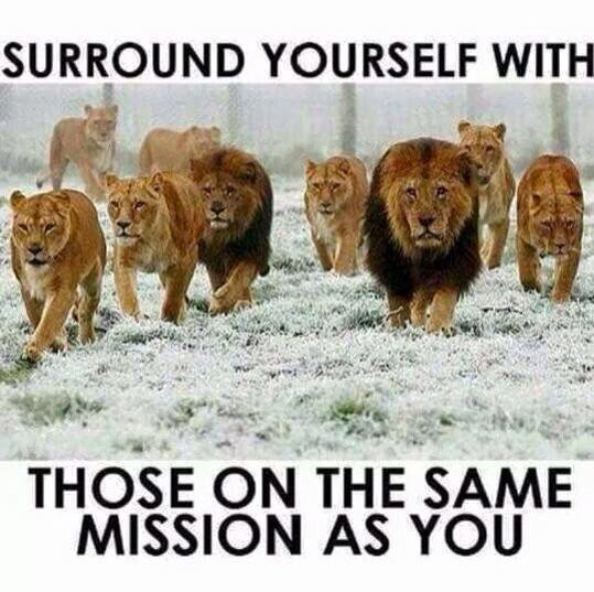 Surround Yourself With Those One The Same Mission As You Pictures