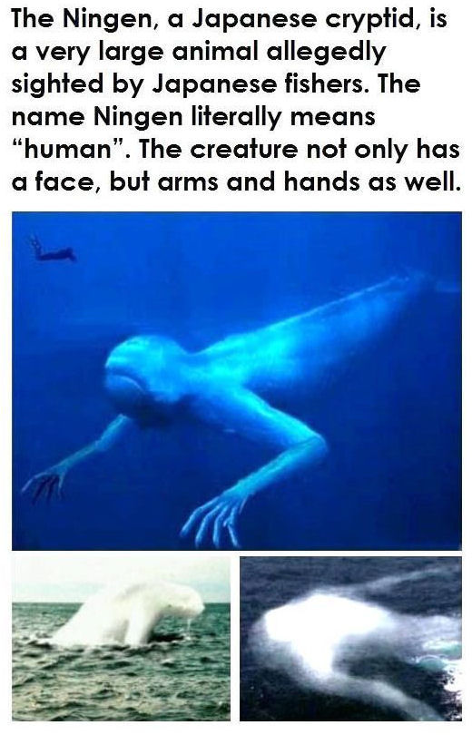 The Ningen Creative Pictures, Photos, and Images for Facebook, Tumblr