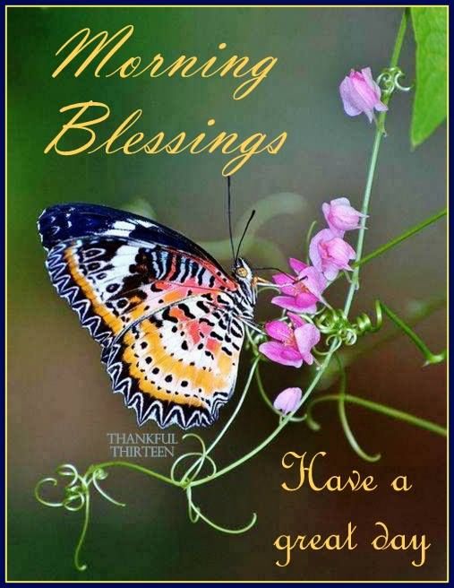 Morning Blessings Have A Great Day Pictures, Photos, and Images for