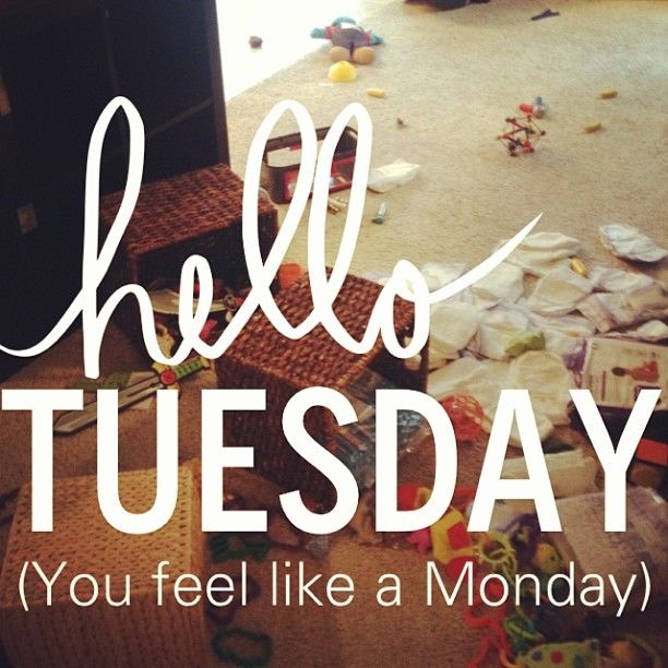 Hello Tuesday, You Feel Like A Monday Pictures, Photos, and Images for