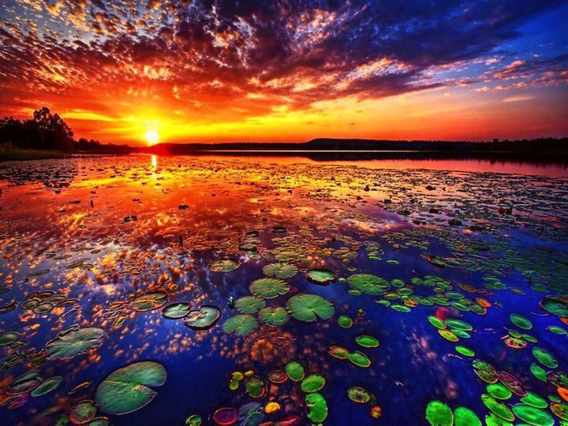Beautiful Nature Sounds