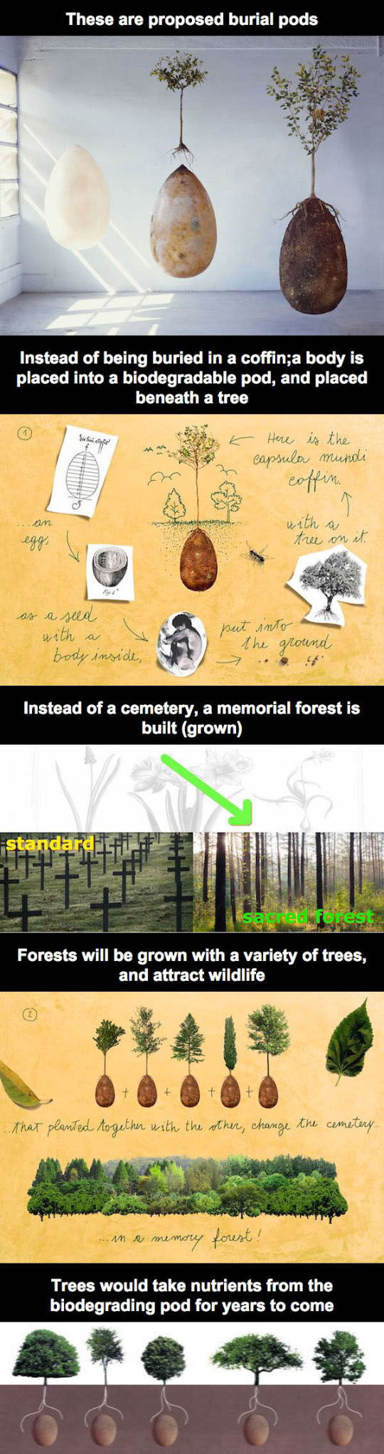 Burial Pods Pictures, Photos, and Images for Facebook, Tumblr