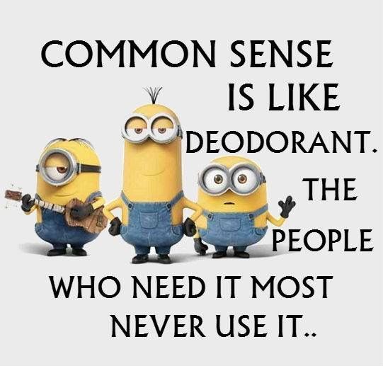 Common Sense Is Like Deodorant The People Who Need It Most Never Use It