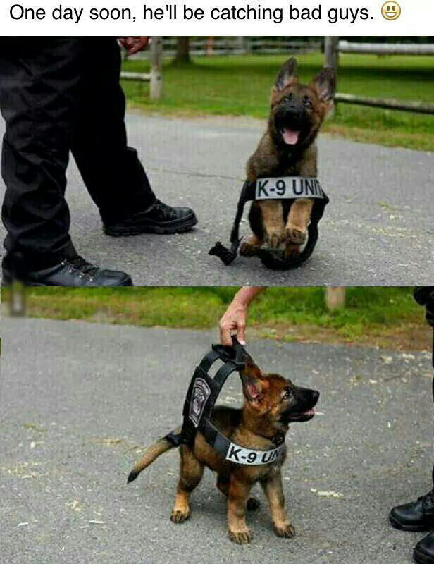 One Day He'll Be Catching Bad Guys Pictures, Photos, and Images for