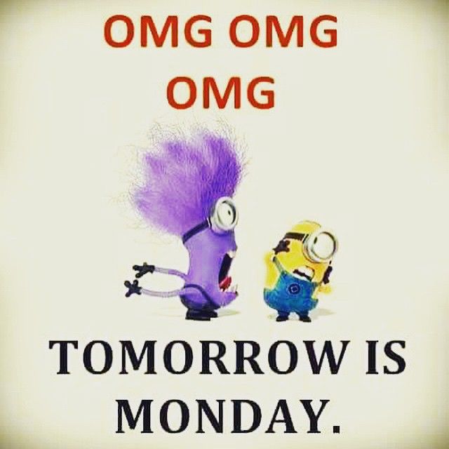 OMG Tomorrows Monday Pictures, Photos, and Images for Facebook, Tumblr