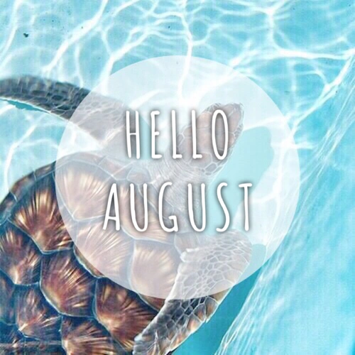 Hello August Pictures, Photos, and Images for Facebook, Tumblr ...