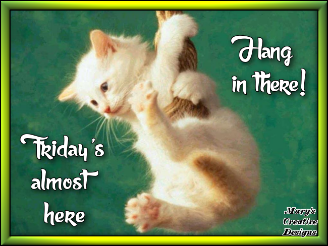 Hand In There Friday Is Almost Here Pictures, Photos, and Images for