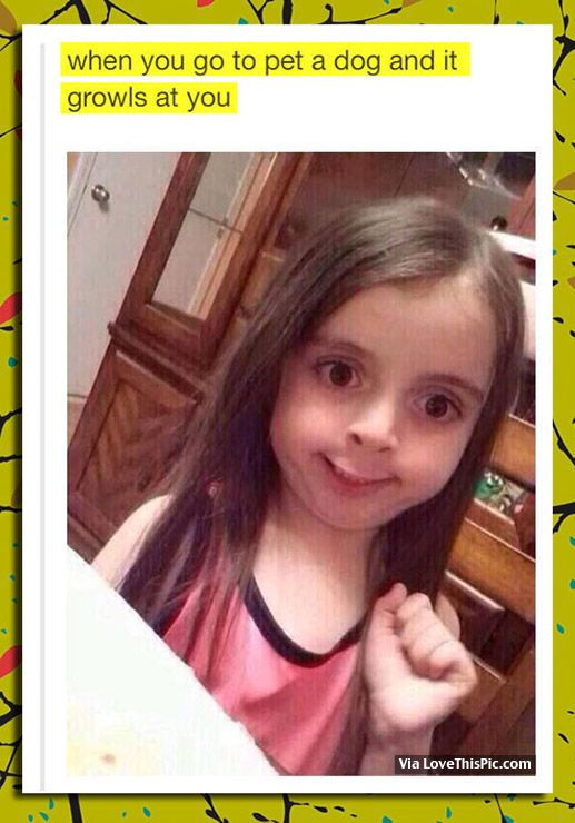 When You Go To Pet A Dog And It Growls At You Pictures, Photos, and