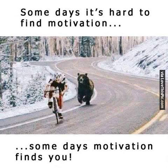 Some Days Motivation Finds You Pictures, Photos, and Images for