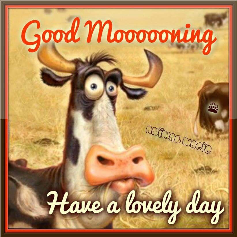 Good Mooooorning Pictures, Photos, and Images for Facebook, Tumblr, Pinterest, and Twitter