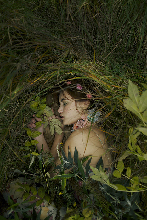 Beauty In The Grass Pictures, Photos, and Images for Facebook, Tumblr, Pinterest, and Twitter