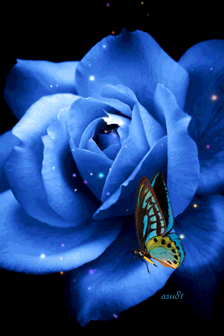 Animated Blue Rose & Butterfly Pictures, Photos, and Images for