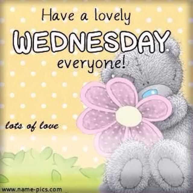 Rose flower bear Tatty Bear Lovely Wednesday Pictures, Photos, and Images for Facebook