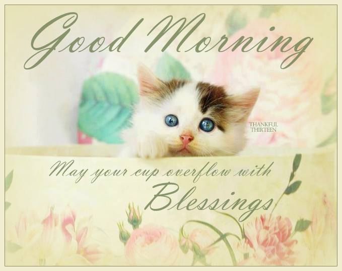 Good Morning May Your Cup Overflow With Blessings Pictures, Photos, and