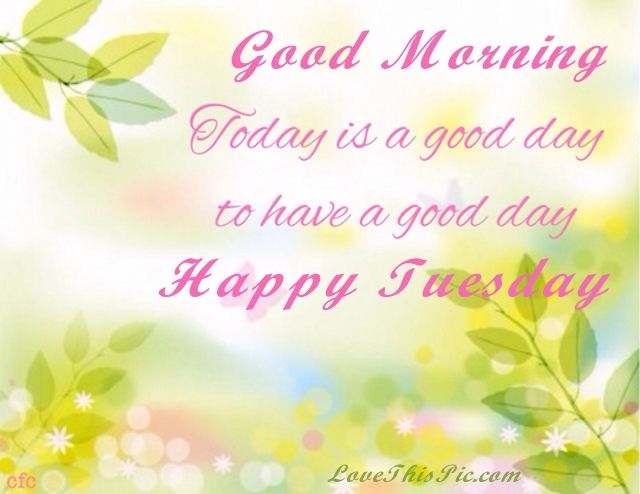 Good Morning Tuesday Have A Good Day Pictures, Photos, and Images for
