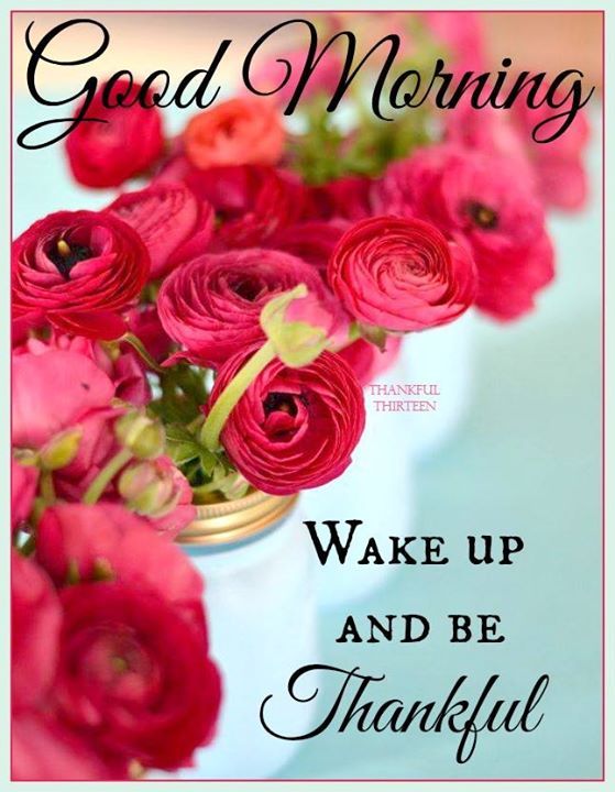 Good Morning Wake Up And Be Thankful Pictures, Photos, and Images for