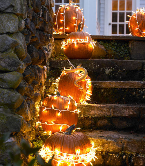 Illuminated Fall Pumpkin Walkway Pictures, Photos, and Images for