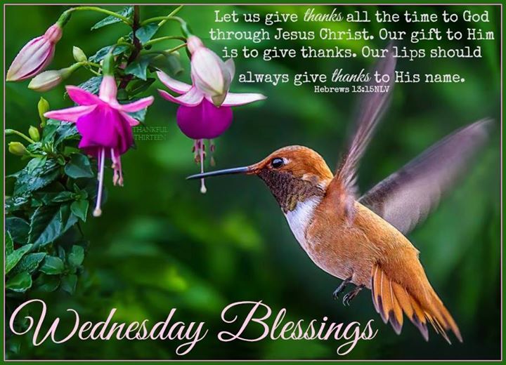 Wednesday Blessings Let Us Give Thanks Pictures, Photos, and Images for