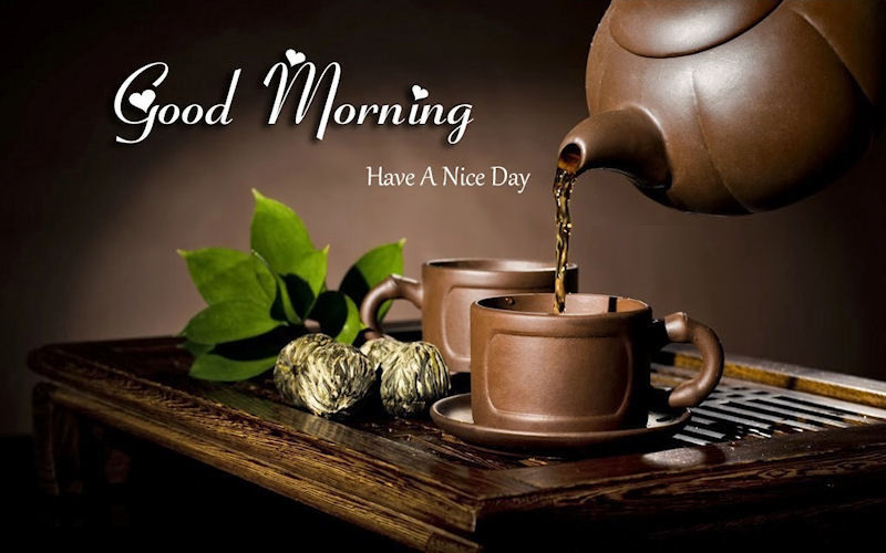 Good Morning Have A Nice Day Quote Pictures, Photos, and Images for