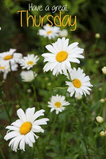 Have A Great Thursday Pictures, Photos, and Images for 