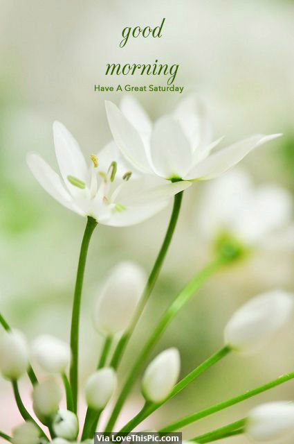 Good Morning, Have A Great Saturday Pictures, Photos, and 