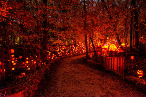 Halloween Lighted Path Pictures, Photos, and Images for Facebook