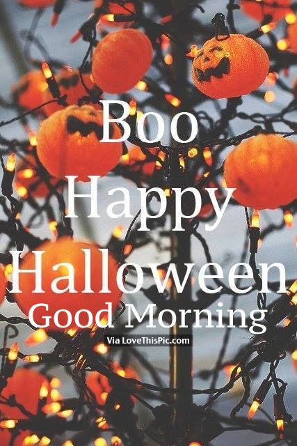 Boo Happy Halloween, Good Morning Pictures, Photos, and Images for