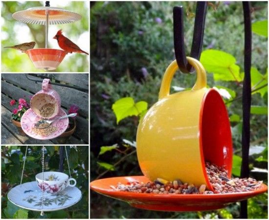 Teacup Bird Feeder Pictures Photos And Images For Facebook