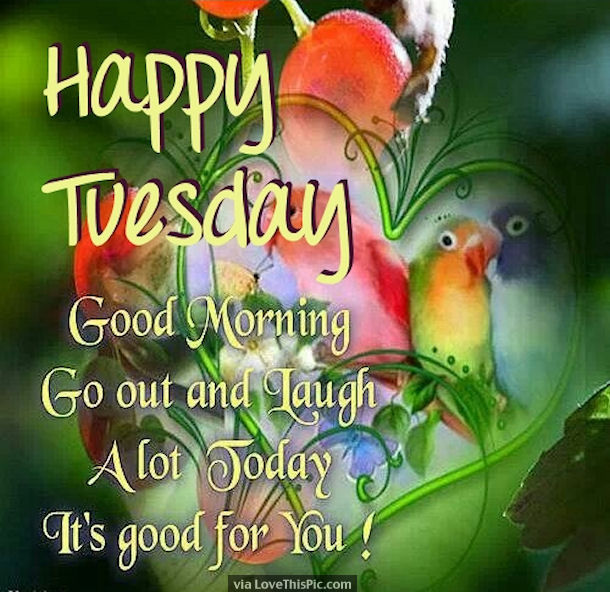 Happy Tuesday Good Morning Go Out And Laugh Today Pictures, Photos, and